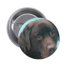 Chocolate Lab Dog Button