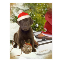 Chocolate Lab Loves Christmas Cards Post Card