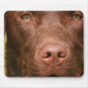 Chocolate Lab Mouse Pad mousepads