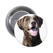 Chocolate Lab Pinback Button