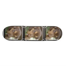 Chocolate Lab Puppy Skateboard