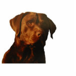 Chocolate lab sculpture keychain photo sculptures
