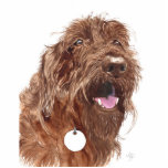 Chocolate Labradoodle #1 Sculpture Photo Cutouts