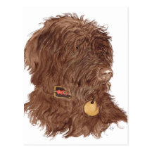Chocolate Labradoodle Xena Post Cards
