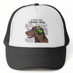 Chocolate Labrador Brain Atlas Hats
