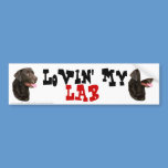 Chocolate Labrador Retriever bumper sticker bumper stickers