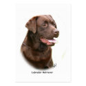 Chocolate Labrador Retriever business cards
