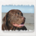 Chocolate Labrador Retriever Mouse Pad mousepads