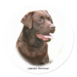 Chocolate Labrador Retriever stickers
