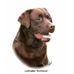 Chocolate Labrador Retriever t-shirts