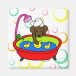Chocolate Labrador & Rubber Ducks Cartoon Refrigerator Magnets