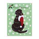 Chocolate Labrador & Santa Hat Snowflake Post Cards