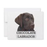 Chocolate Labrador Unique design! invitations