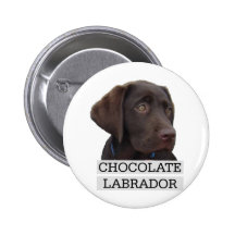 Chocolate Labrador Unique design! Pins