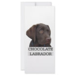 Chocolate Labrador Unique design! rack cards