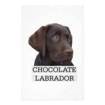Chocolate Labrador Unique design! Custom Stationery