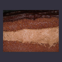 Chocolate Layer Cake Photo Poster posters