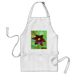 Chocolate Lily Apron