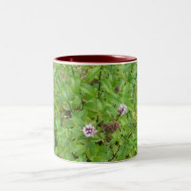 Chocolate Mint Coffee Mugs