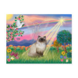 Chocolate Point Himalayan Cat -  Cloud Angel Post Card