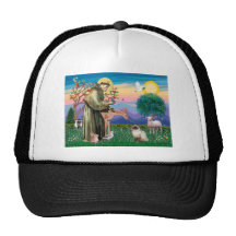 Chocolate Point Himalayan Cat  - St Francis Mesh Hats