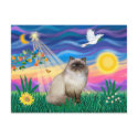 Chocolate Point Himalayan Cat  - Twilight postcards