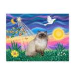 Chocolate Point Himalayan Cat  - Twilight postcards