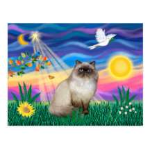 Chocolate Point Himalayan Cat  - Twilight Postcards