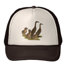 Chocolate Runner Duck Family Mesh Hat
