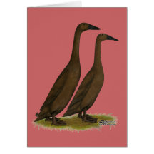 Chocolate Runner Ducks Greeting Card