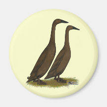 Chocolate Runner Ducks Magnets