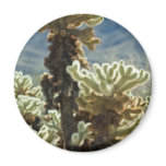 Cholla Afternoon Fridge Magnet