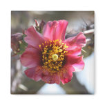Cholla Bloom Magnet
