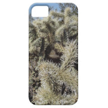 Cholla Cactus iPhone 5 Covers