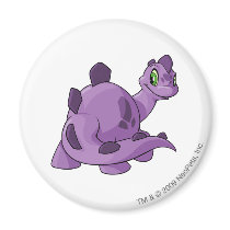 Chomby Purple magnets