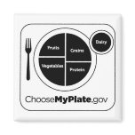 Choose My Plate magnets