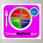 Choose My Plate (Pink) Poster - in many sizes posters