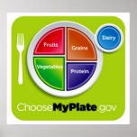 Choose My Plate Poster - in many sizes posters