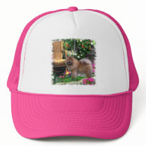 Chow Chow Art Gifts Hats