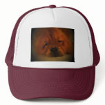 Chow Chow hats