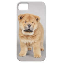 Chow chow iPhone 5 cover