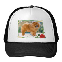 Chow-Chow Mützen