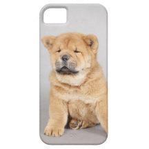 Chow chow puppy iPhone 5 cover