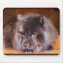 Chow mousepads