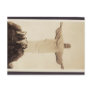 Christ the Redeemer Postcards