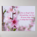 Christian Saying Poster posters