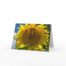 Christian Sunflower Birthday
