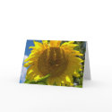 Christian Sunflower Birthday cards