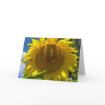 Christian Sunflower Birthday cards
