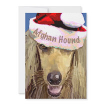 Christmas Afghan Hound 10 pk crds Invitations